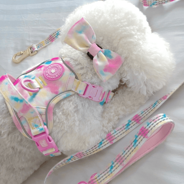 Bow Tie - Colour Drops - Candy Floss - alternate view