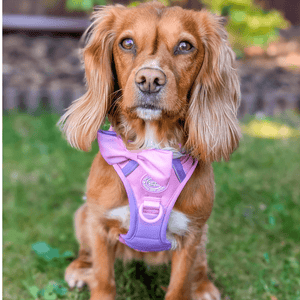 Bow Tie - COLOUR DROPS® - Love that for you - Bailey and Coco (UK)