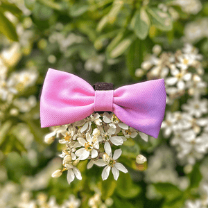 Bow Tie - COLOUR DROPS® - Love that for you - Bailey and Coco (UK)