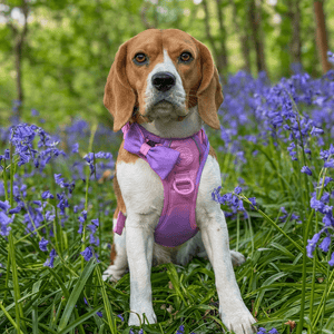 Bow Tie - COLOUR DROPS® - Love that for you - Bailey and Coco (UK)