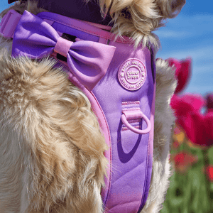 Bow Tie - COLOUR DROPS® - Love that for you - Bailey and Coco (UK)