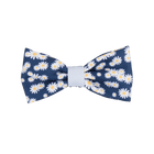 Bow Tie
