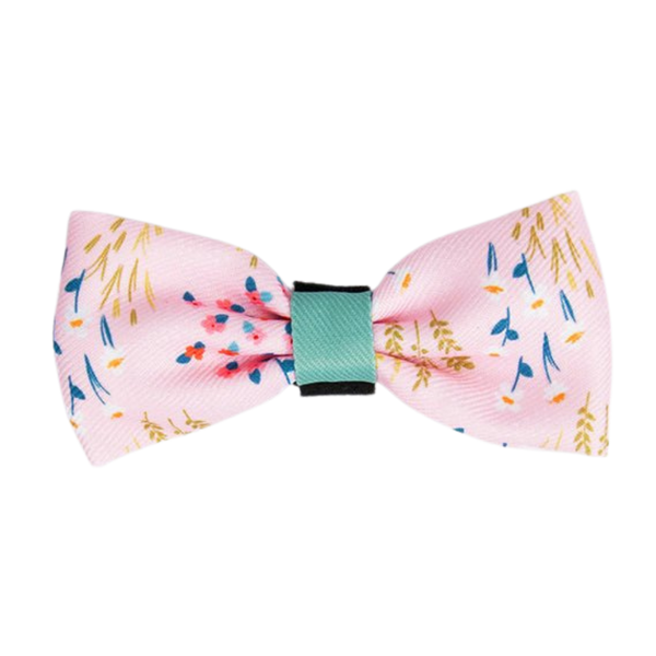Bow Tie - COLOUR DROPS® - Pick Me - Bailey and Coco (UK)