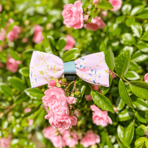 Bow Tie - COLOUR DROPS® - Pick Me - Bailey and Coco (UK)