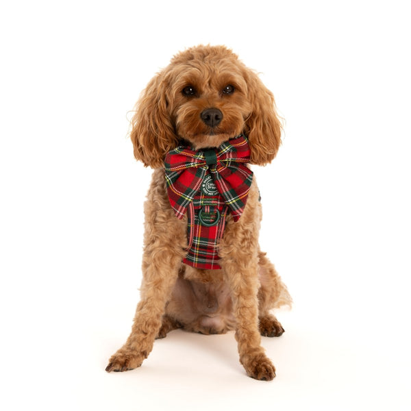 Bow Tie - Colour Drops - Red Highland Tartan - alternate view