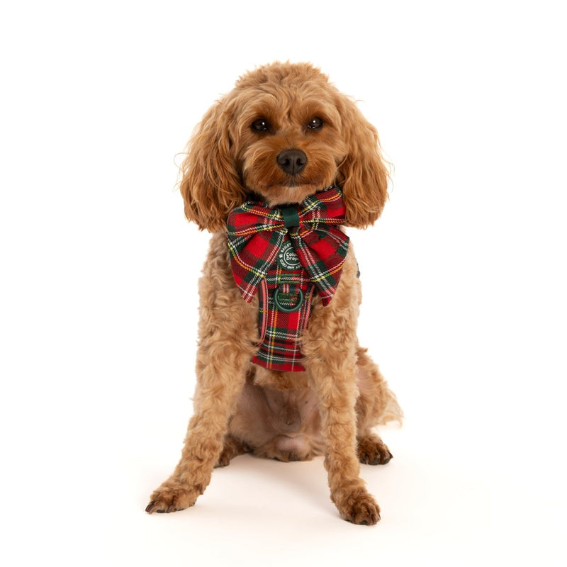 Bow Tie - Colour Drops - Red Highland Tartan - Bailey and Coco (UK)