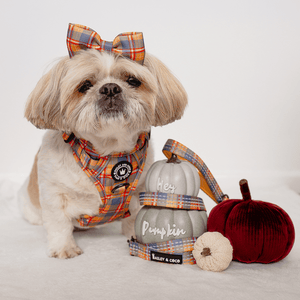 Bow Tie - Rustic Tartan - Bailey and Coco (UK)
