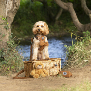 Bow Tie - Teddy Bear - Bailey and Coco (UK)