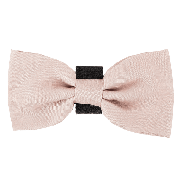 Bow Tie - The Champagne One - Bailey and Coco (UK)