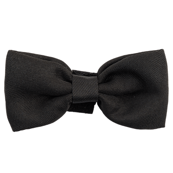 Bow Tie - The Jet Black One - Bailey and Coco (UK)