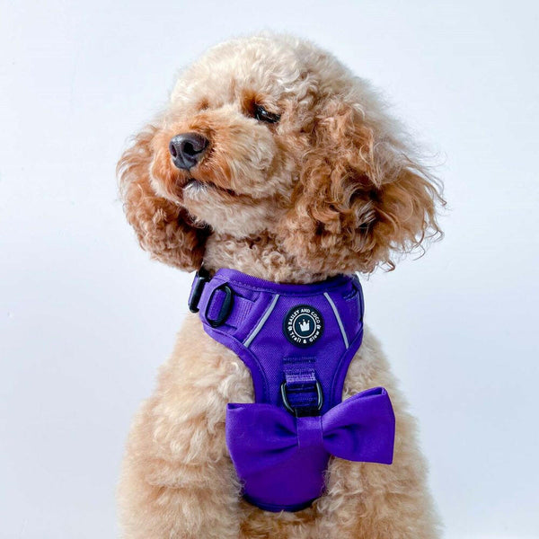 Bow Tie - The Royal Purple One - alternate view