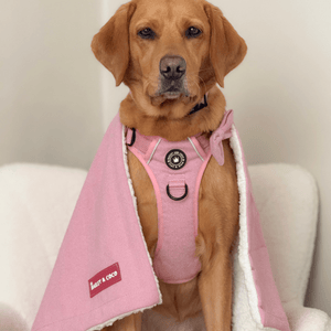 Bubblegum Pink Tweed Dog Blanket - Soft Sherpa Lined - Bailey and Coco (UK)
