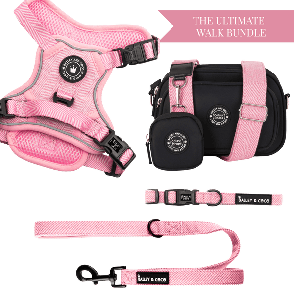 Bubblegum Tweed Adjustable Dog Harness, Lead, Collar & Dog Walking Bag Bundle - Bailey and Coco (UK)