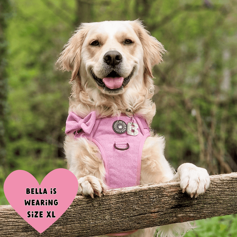 Bubblegum Tweed Adjustable Dog Harness, Lead, Collar & Dog Walking Bag Bundle - Bailey and Coco (UK)
