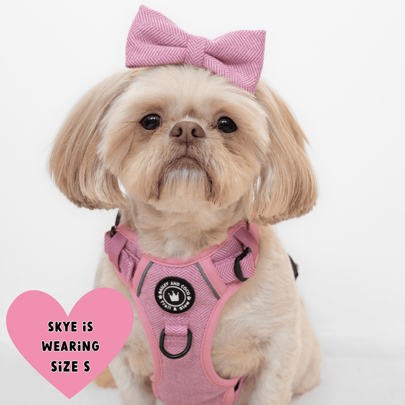 Bubblegum Tweed Adjustable Dog Harness, Lead, Collar & Dog Walking Bag Bundle - Bailey and Coco (UK)