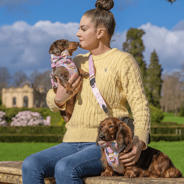 Candy Floss Adjustable Dog Harness, Lead, Collar & Latte Dog Walking Bag Bundle - alternate view