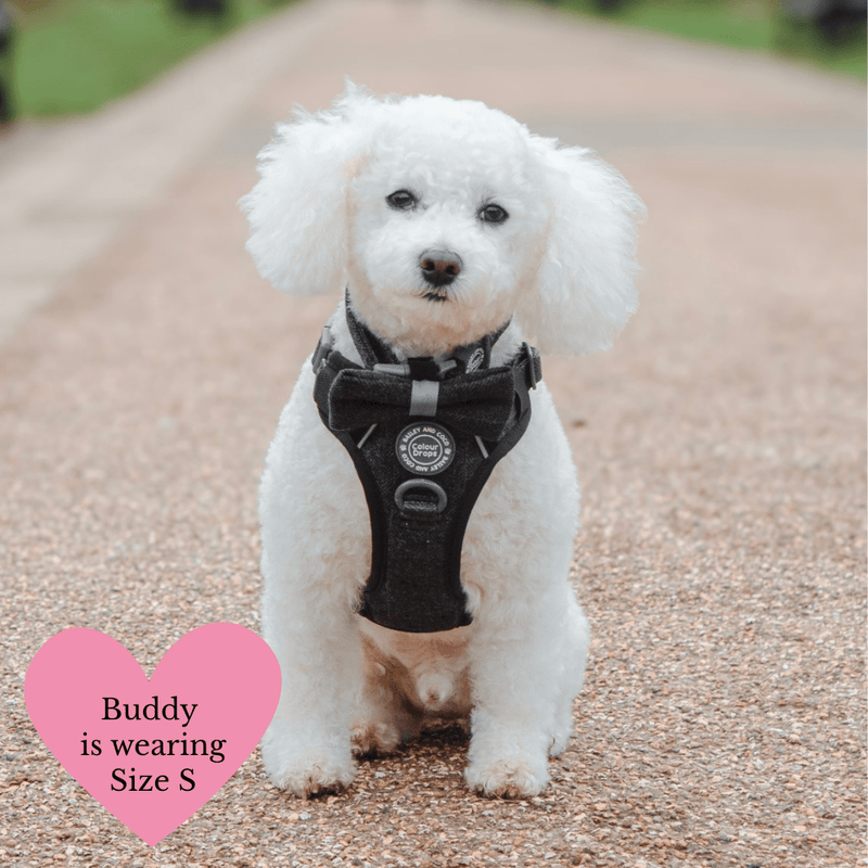 Charcoal Tweed Adjustable Dog Harness, Lead, Collar & Latte Dog Walking Bag Bundle - Bailey and Coco (UK)
