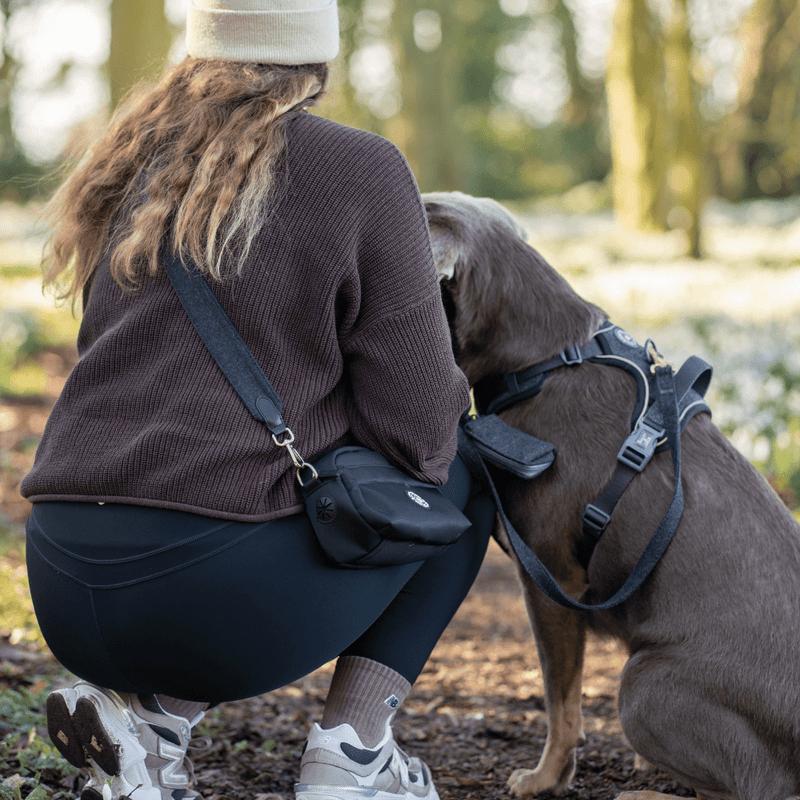 Charcoal Tweed - Colour Drops - Adjustable Dog Harness, Lead, Collar & Mini Black Dog Walking Bag Bundle - Bailey and Coco (UK)