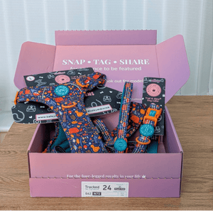 Bailey & Coco Colour Drops Bewitched dog harness and matching collar set displayed inside pink branded gift box