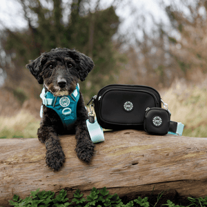 Create Your Own Dog Walking Bag - Black - Bailey and Coco (UK)