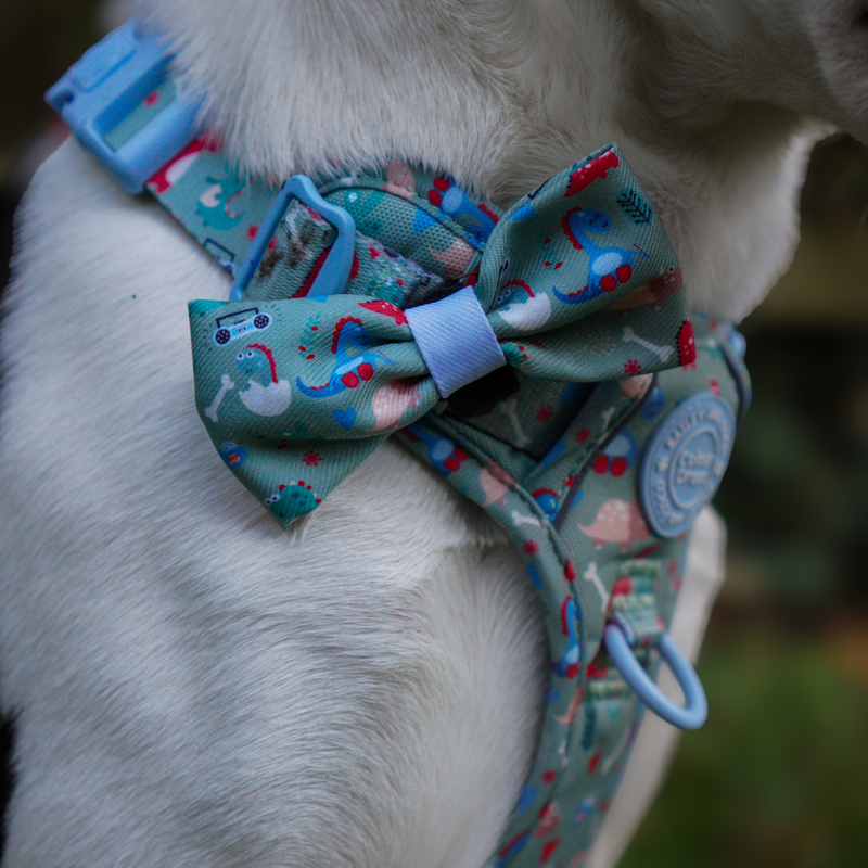 Bow Tie - Colour Drops - Dino Party