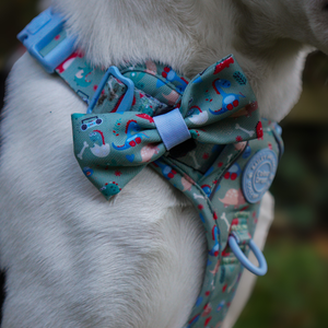 Bow Tie - Colour Drops - Dino Party