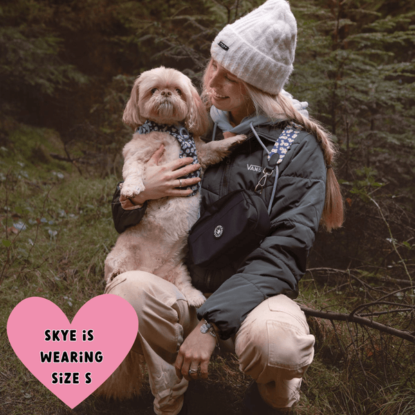 Loves me, Loves me not - Colour Drops - Adjustable Dog Harness, Lead, Collar & Mini Black Dog Walking Bag Bundle - alternate view