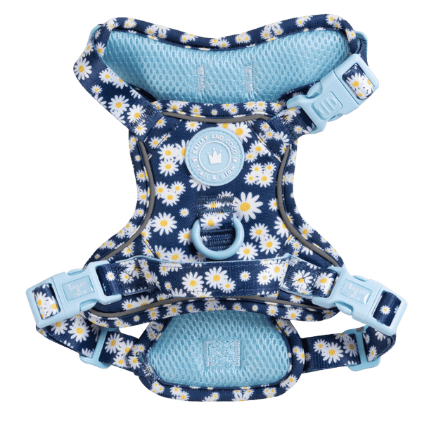 Daisy Dog Harness - Colour Drops - Loves me, Loves me not - Bailey and Coco (UK)