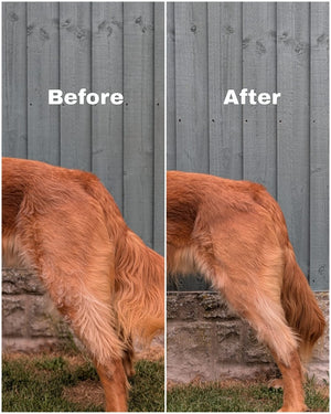 Deshedding Brush for Dogs, Cats, Horses – Black - Bailey and Coco (UK)