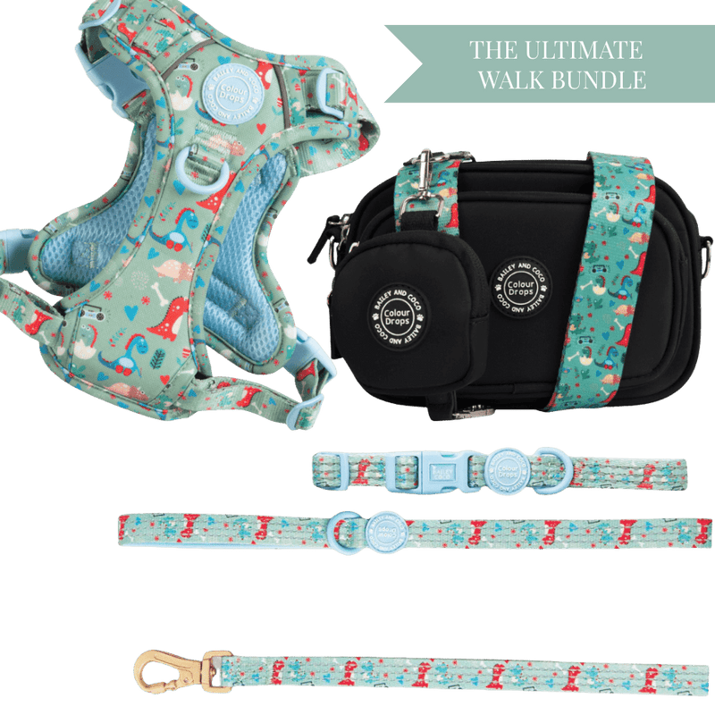 Dino Party Colour Drops - Adjustable Dog Harness, Lead, Collar & Black Dog Walking Bag Bundle - Bailey and Coco (UK)
