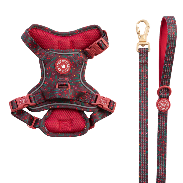 Dog Harness and Lead Set - Colour Drops - Jingle Berry - Bailey and Coco (UK)