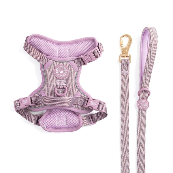 Dog Harness and Lead Set - Colour Drops - Plum Tweed - Bailey and Coco (UK)