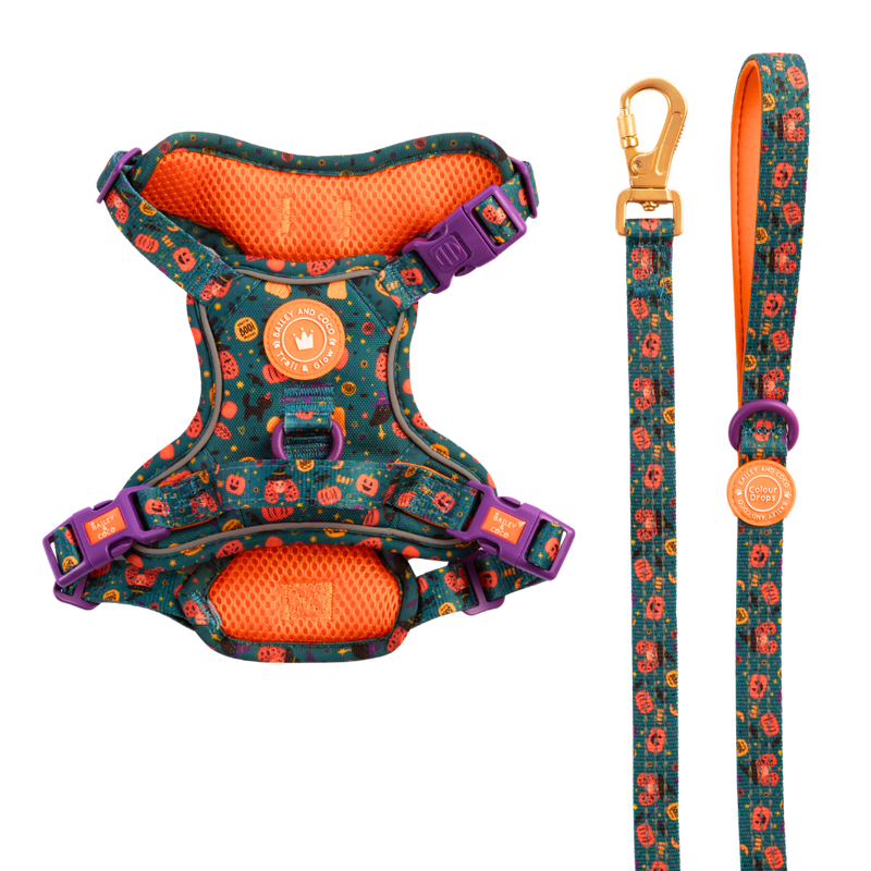 Dog Harness and Lead Set - Colour Drops - Spellbound Autumn - Bailey and Coco (UK)