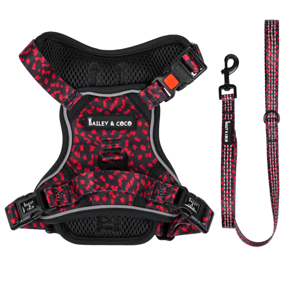 Dog Harness and Lead Set - Dark Romance - Bailey and Coco (UK)