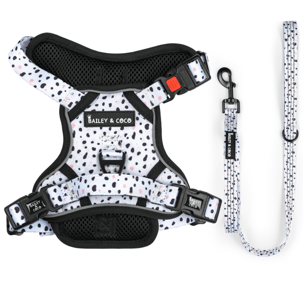 Dog Harness and Lead Set - Ditsy Dalmatian - Bailey and Coco (UK)