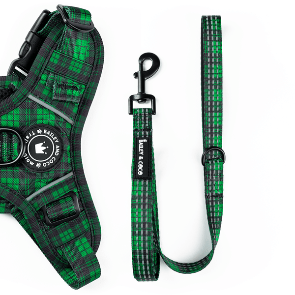 Dog Harness and Lead Set - The Green Tartan One - alternate view