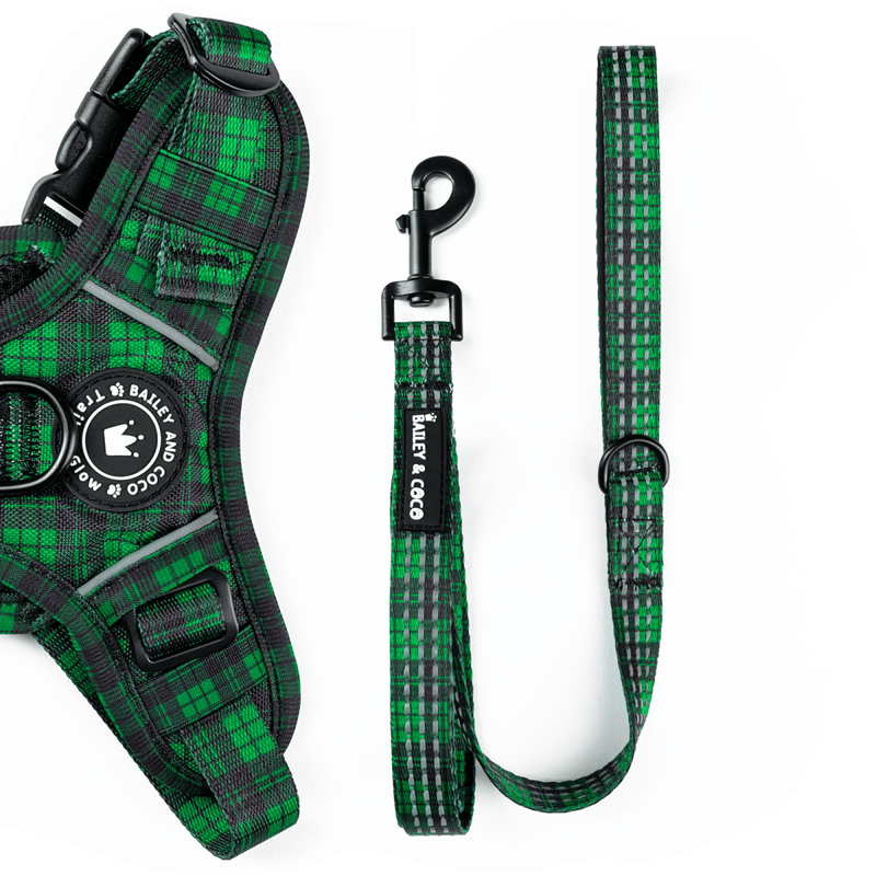 Dog Harness and Lead Set - The Green Tartan One - Bailey and Coco (UK)