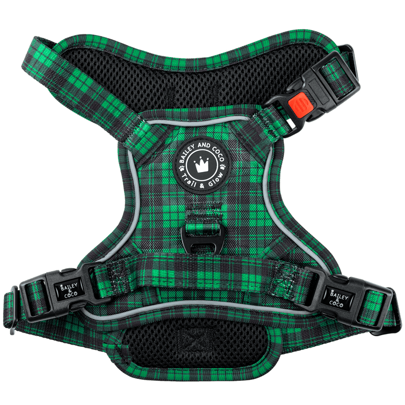 Dog Harness and Lead Set - The Green Tartan One - Bailey and Coco (UK)