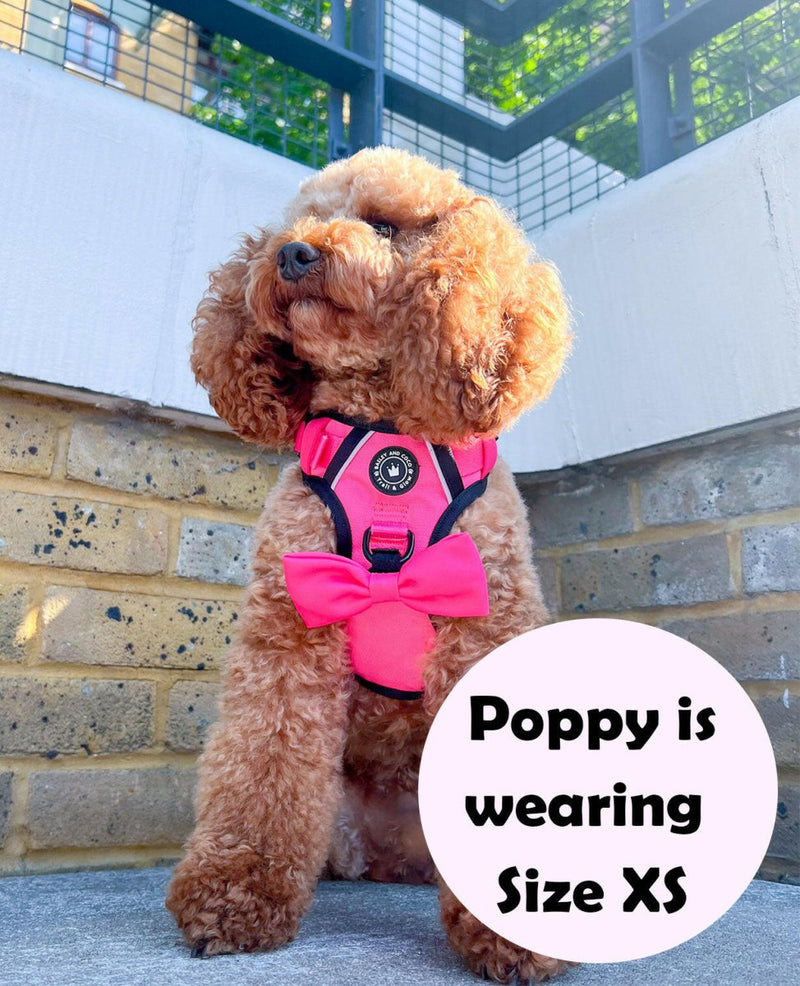 Dog Harness and Lead Set - The Hot Pink One - Bailey and Coco (UK)