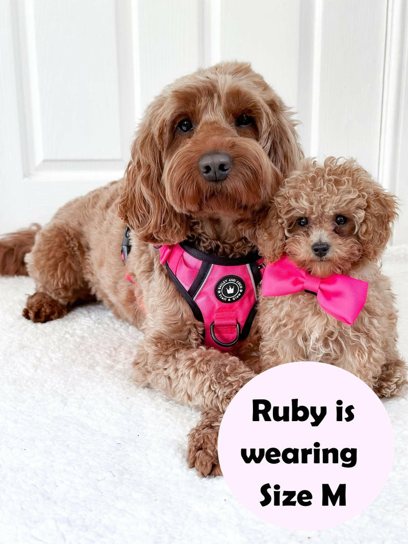 Dog Harness and Lead Set - The Hot Pink One - Bailey and Coco (UK)
