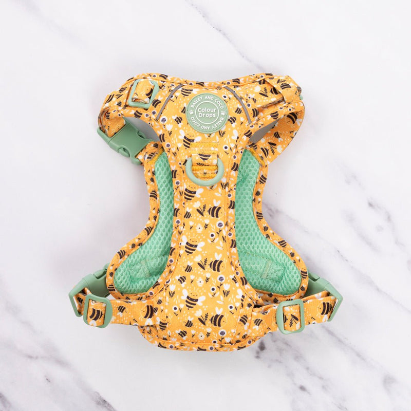 Dog Harness - Colour Drops - Wanna - Bee - Bailey and Coco (UK)