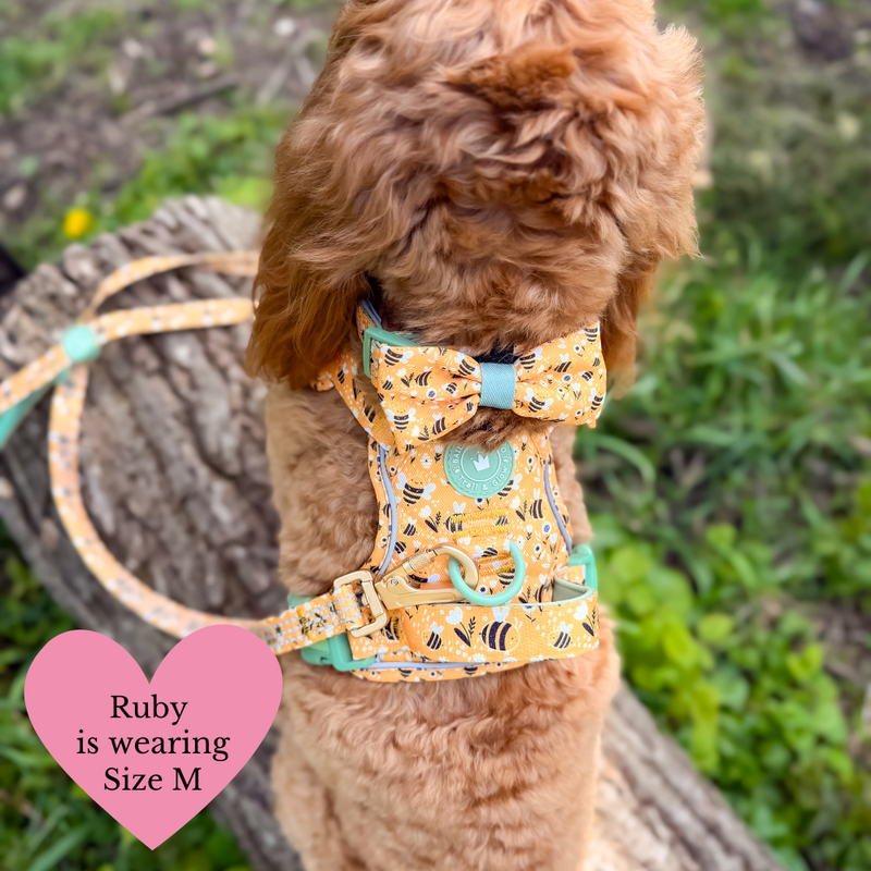 Dog Harness - Colour Drops - Wanna - Bee - Bailey and Coco (UK)