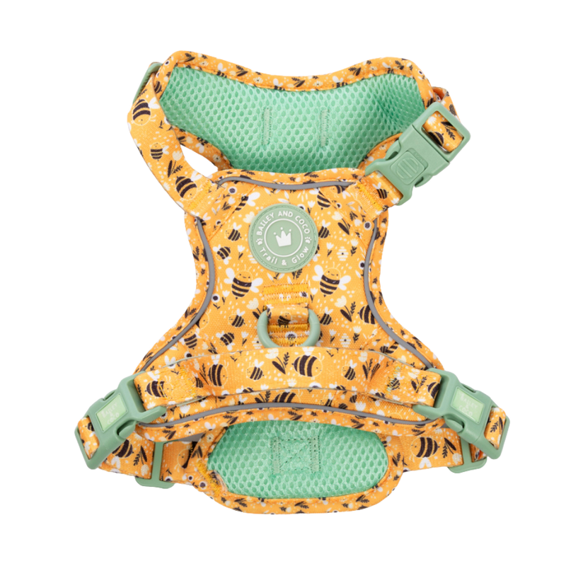 Dog Harness - Colour Drops - Wanna - Bee - Bailey and Coco (UK)