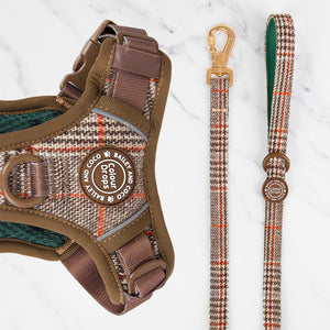 Dog Lead 5ft - Colour Drops - Heritage Plaid Harness Back - Bailey and Coco (UK)