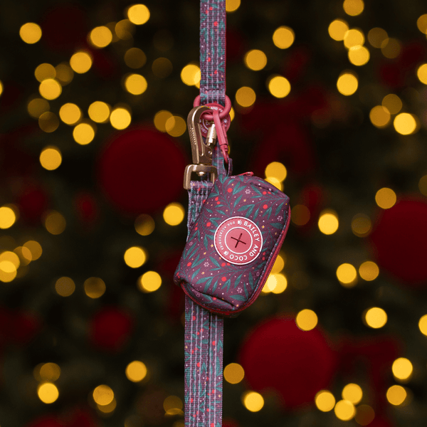 Dog Lead 5ft - Colour Drops - Jingle Berry - alternate view