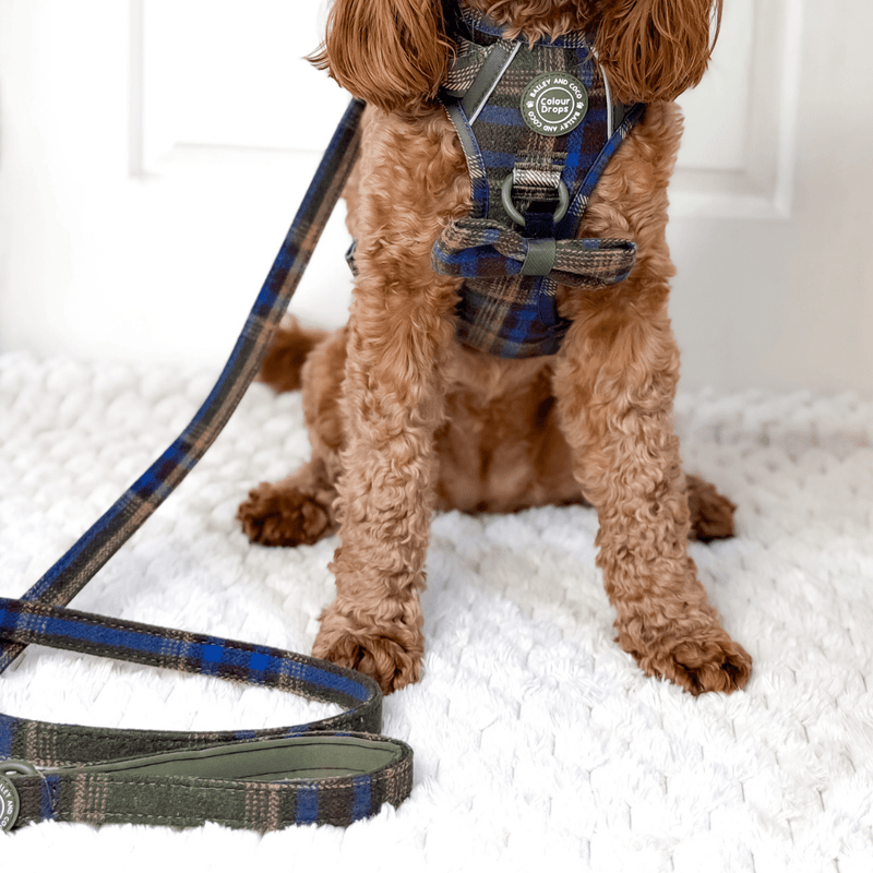 Dog Lead 5ft - Colour Drops - Mayfair Tweed - Bailey and Coco (UK)