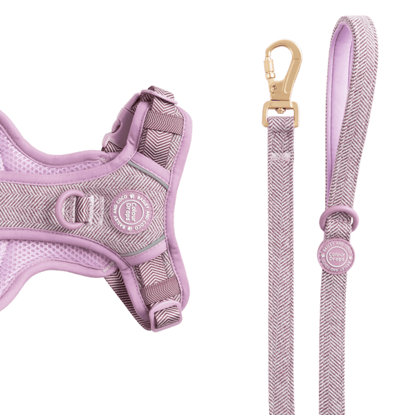 Dog Lead 5ft - Colour Drops - Plum Tweed - Bailey and Coco (UK)