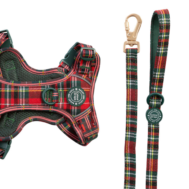 Dog Lead 5ft - Colour Drops - Red Highland Tartan - Bailey and Coco (UK)
