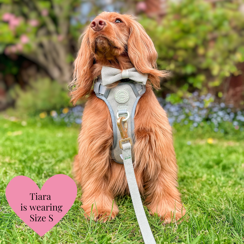 Dog Lead 5ft - Colour Drops - Sage Tweed - Bailey and Coco (UK)