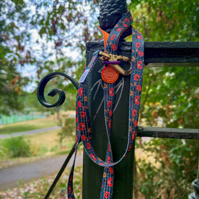 Dog Lead 5ft - Colour Drops - Spellbound Autumn - Bailey and Coco (UK)